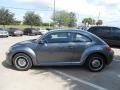 2013 Platinum Gray Metallic Volkswagen Beetle 2.5L  photo #4