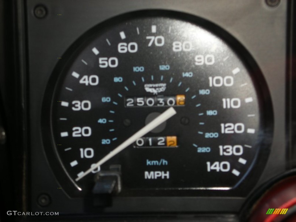 1979 Chevrolet Corvette Coupe Gauges Photo #69644263