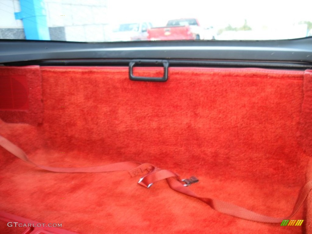 1979 Chevrolet Corvette Coupe Trunk Photo #69644404