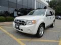 2009 White Suede Ford Escape XLT 4WD  photo #1