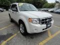 2009 White Suede Ford Escape XLT 4WD  photo #3