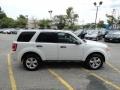 2009 White Suede Ford Escape XLT 4WD  photo #4