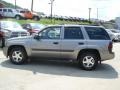 Graystone Metallic - TrailBlazer LS 4x4 Photo No. 8