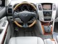 Millenium Silver Metallic - RX 330 Photo No. 27