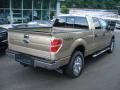 2012 Pale Adobe Metallic Ford F150 XLT SuperCrew 4x4  photo #8