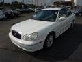 Noble White - Sonata GLS V6 Photo No. 3