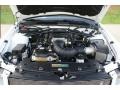  2007 Mustang Shelby GT Coupe 4.6 Liter SOHC 24-Valve VVT V8 Engine