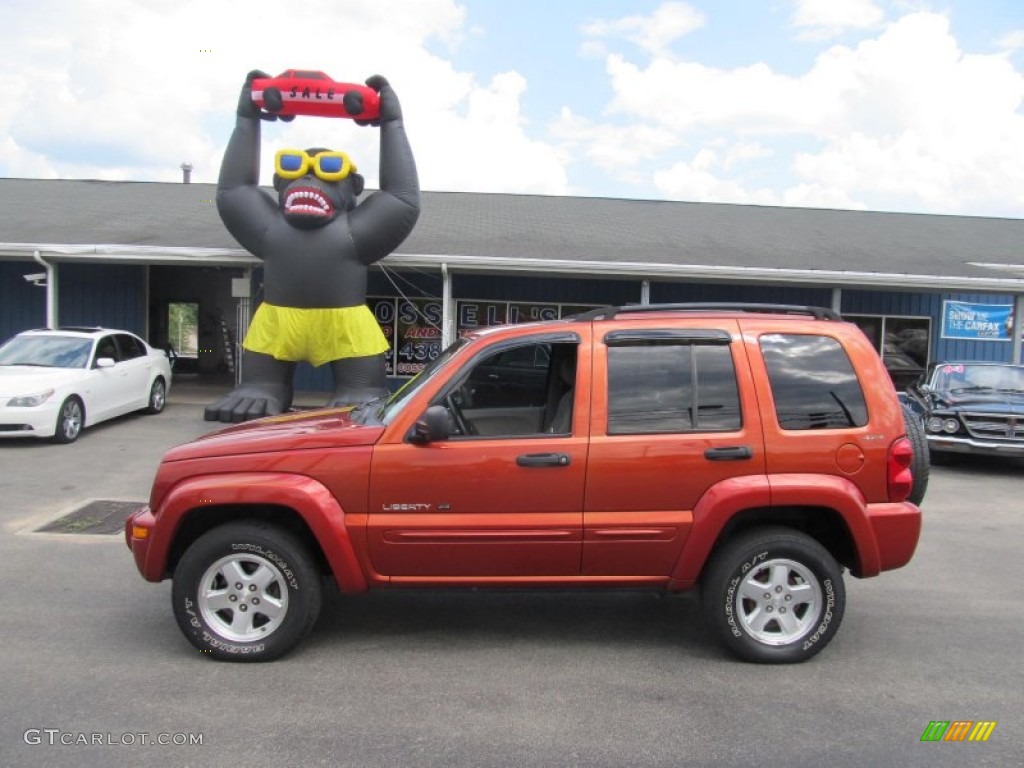 Salsa Red Pearlcoat 2002 Jeep Liberty Limited 4x4 Exterior Photo #69666103