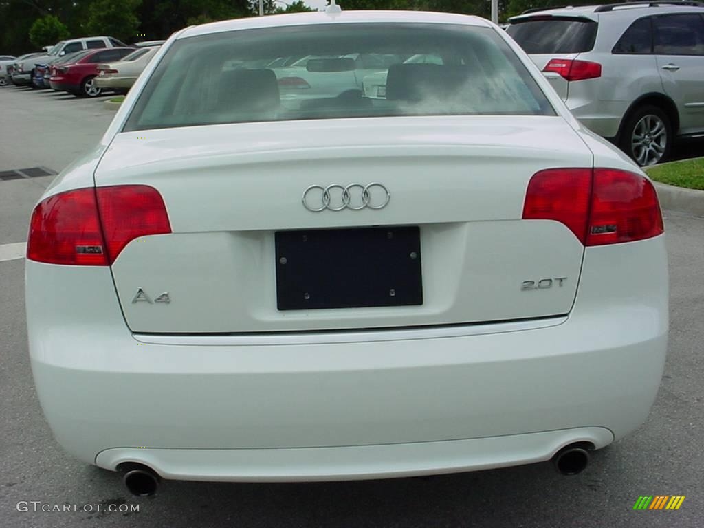 2008 A4 2.0T Special Edition Sedan - Ibis White / Black photo #4