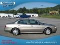 Light Bronzemist Metallic - LeSabre Custom Photo No. 5