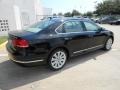 Black - Passat TDI SEL Photo No. 7