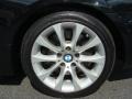 2009 Black Sapphire Metallic BMW 3 Series 335xi Coupe  photo #15