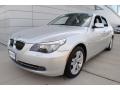 Titanium Silver Metallic 2009 BMW 5 Series 528xi Sedan