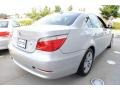 Titanium Silver Metallic - 5 Series 528xi Sedan Photo No. 6
