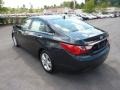 2013 Pacific Blue Pearl Hyundai Sonata Limited  photo #5