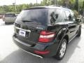 Black - ML 350 4Matic Photo No. 14