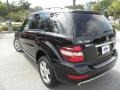 Black - ML 350 4Matic Photo No. 16