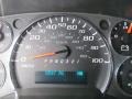 Sheer Silver Metallic - Express 1500 Work Van Photo No. 25