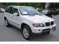 Alpine White - X5 3.0i Photo No. 1