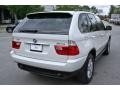 Alpine White - X5 3.0i Photo No. 7