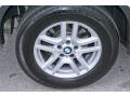 Alpine White - X5 3.0i Photo No. 13