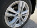 Platinum Graphite - Rogue SV Photo No. 9