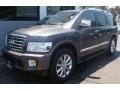 Silver Graphite Gray - QX 56 4WD Photo No. 2