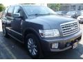 Silver Graphite Gray - QX 56 4WD Photo No. 3