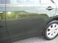 Spruce Green Mica - Camry LE Photo No. 26