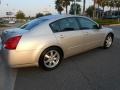 Liquid Silver Metallic - Maxima 3.5 SL Photo No. 8