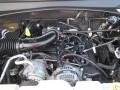2010 Dark Charcoal Pearl Dodge Nitro SXT  photo #18