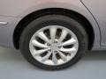 2006 Steel Gray Hyundai Azera Limited  photo #11