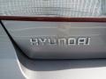 2006 Steel Gray Hyundai Azera Limited  photo #16