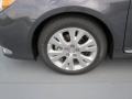 Magnetic Gray Metallic - Avalon  Photo No. 9