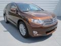 Sunset Bronze Mica 2012 Toyota Venza LE