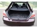  2009 tC  Trunk