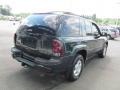 2003 Dark Green Metallic Chevrolet TrailBlazer LS 4x4  photo #8