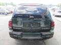 2003 Dark Green Metallic Chevrolet TrailBlazer LS 4x4  photo #9