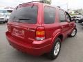 2006 Redfire Metallic Ford Escape Hybrid 4WD  photo #5