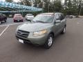 Natural Khaki Green - Santa Fe GLS Photo No. 1