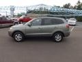 Natural Khaki Green - Santa Fe GLS Photo No. 2