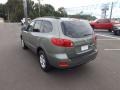 Natural Khaki Green - Santa Fe GLS Photo No. 3