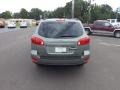 Natural Khaki Green - Santa Fe GLS Photo No. 4