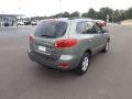 Natural Khaki Green - Santa Fe GLS Photo No. 5