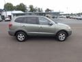 Natural Khaki Green - Santa Fe GLS Photo No. 6