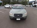 Natural Khaki Green - Santa Fe GLS Photo No. 8