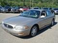 Light Bronzemist Metallic - LeSabre Custom Photo No. 3