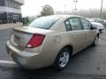 Golden Cashmere - ION 2 Sedan Photo No. 3