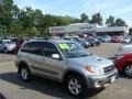 Titanium Metallic - RAV4 4WD Photo No. 1