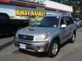 Titanium Metallic - RAV4 4WD Photo No. 3